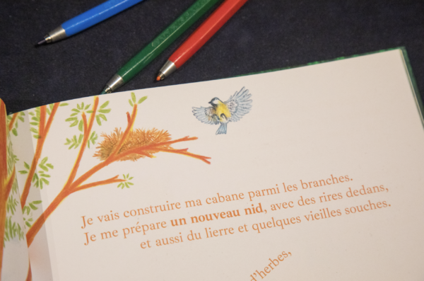 La fille renarde – Image 7